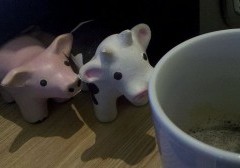 03_cow-300x168